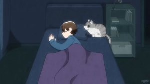 Вечера с кошкой 3 сезон(1-4)серии