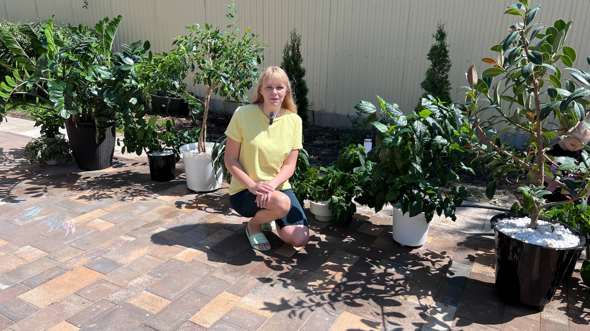 Купание комнатных растений летом на улице. смотреть онлайн