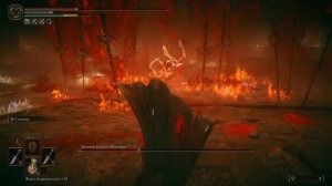 Elden Ring: Shadow of the Erdtree . Как победить Месмер Колосажатель