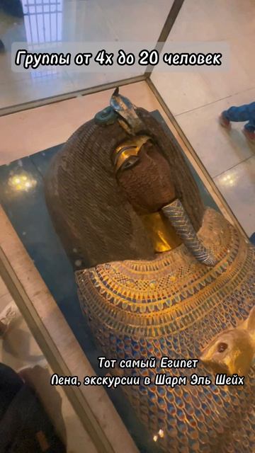 Вип экскурсия в Каир смотреть онлайн