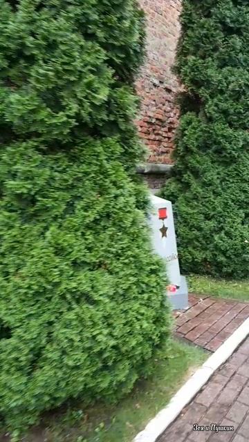 Города-герои у Крепостной стены Смоленск. Памятник Егорову. смотреть онлайн