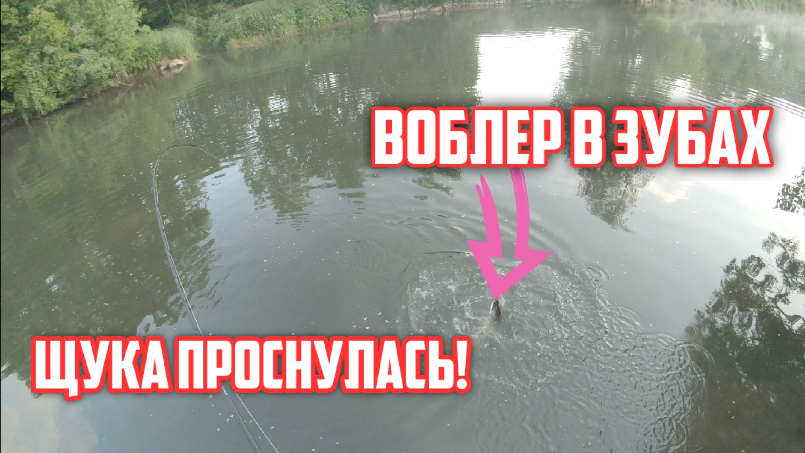 Ловля щуки на спиннинг в начале лета! Думал зацеп и все таки щука проглотила эту приманку японскую! смотреть онлайн