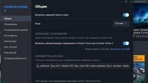 КАК УБРАТЬ ЧЕРНЫЕ ПОЛОСЫ ПРИ ЗАПУСКЕ CS2