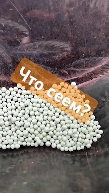 Посев 2025 #тепличныйбизнес смотреть онлайн