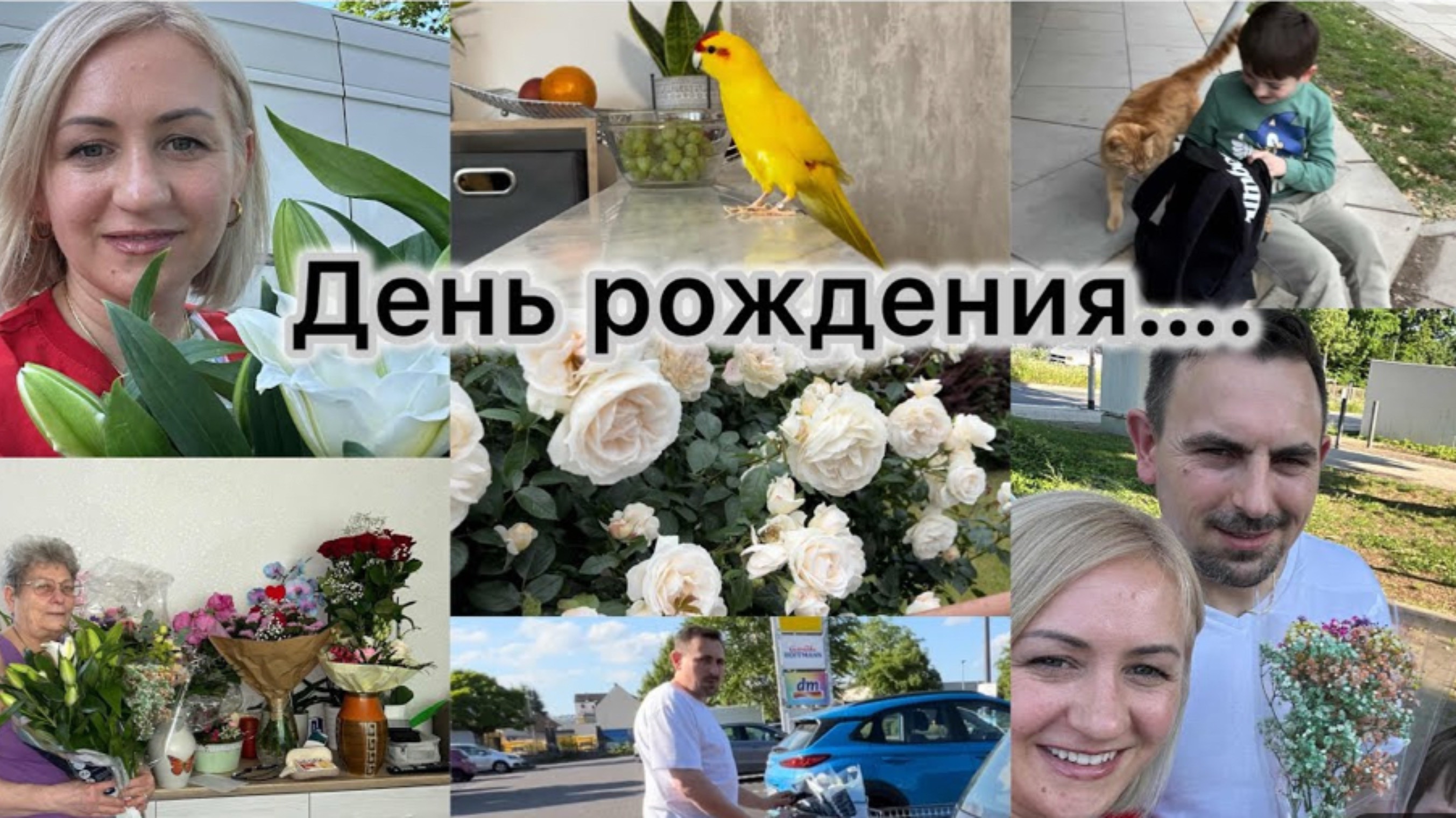 Поздравили Свекровь с ДР 🎉 закупились в Aldi 🛒 Прогулка , встреча с другом ✔️ что творится , смотреть онлайн