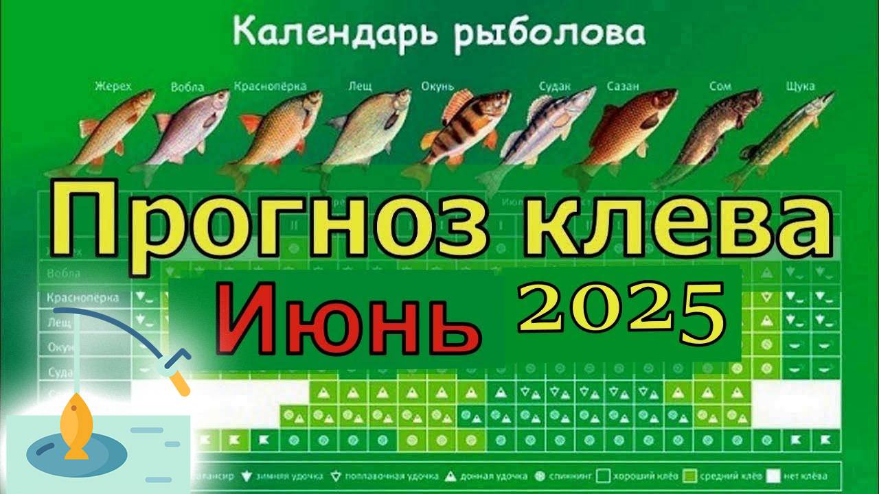 Прогноз клева рыбы на ИЮНЬ 2025 года. Лунный календарь рыбака. Календарь рыбака на ИЮНЬ смотреть онлайн