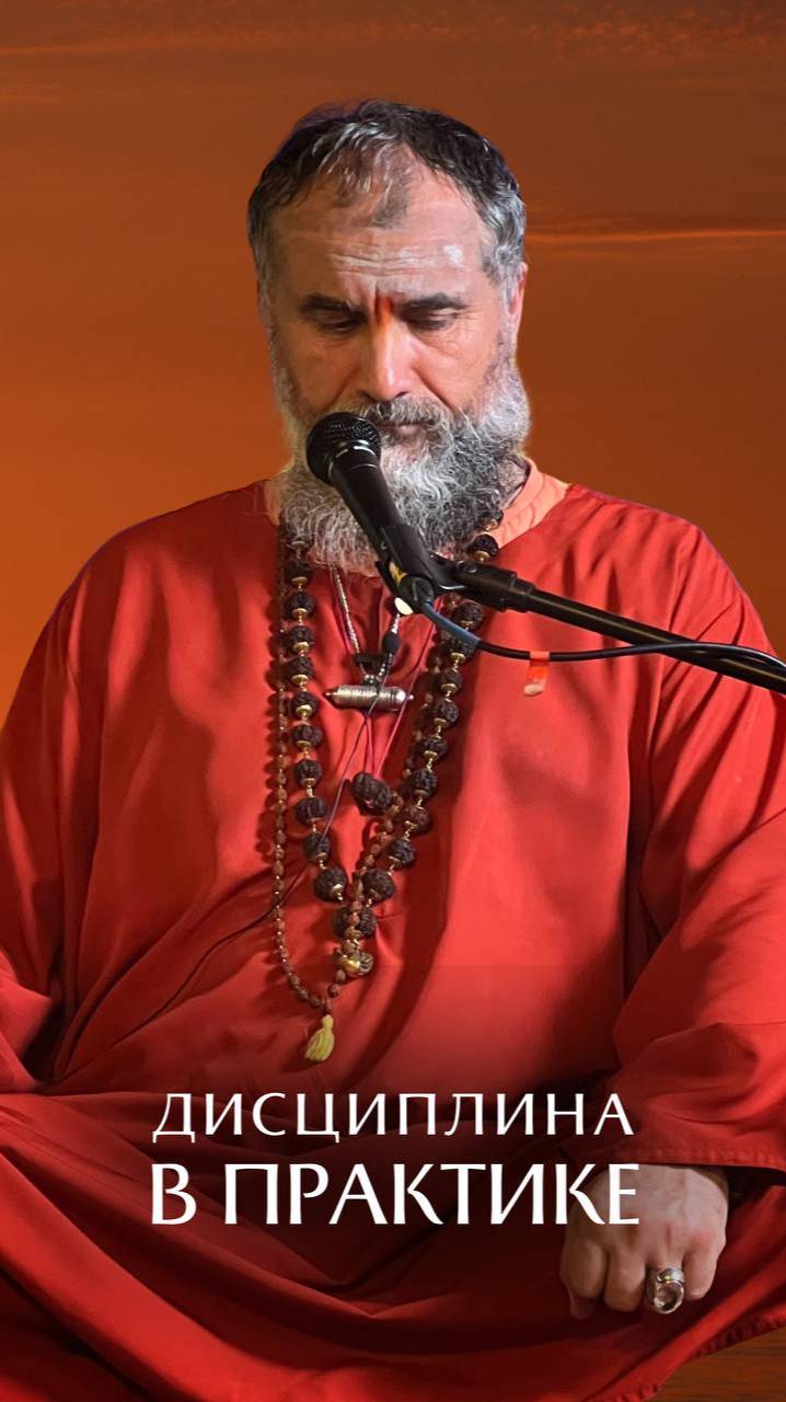 Дисциплина в практике смотреть онлайн