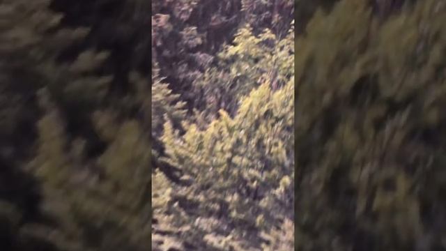 Видео отзыв о бесшовных фотообоях смотреть онлайн