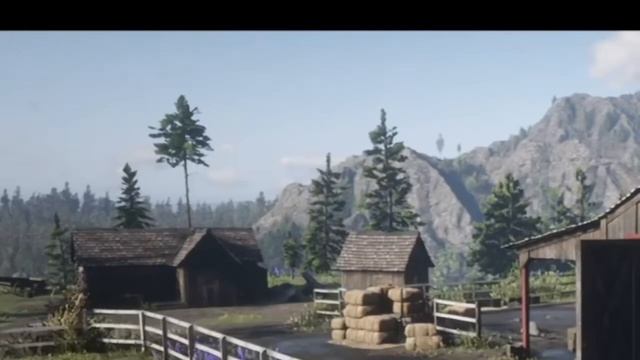 Спит на работе - RDR II