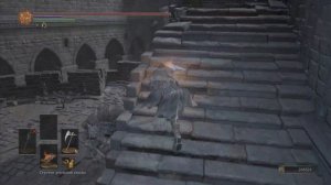 Фарм темных самоцветов и обломков титанита в Dark Souls 3