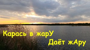 Карась в жарУ, дает жАру! Ловля карася в конце мая.