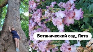 Ботанический парк, парад ирисов. Ялта