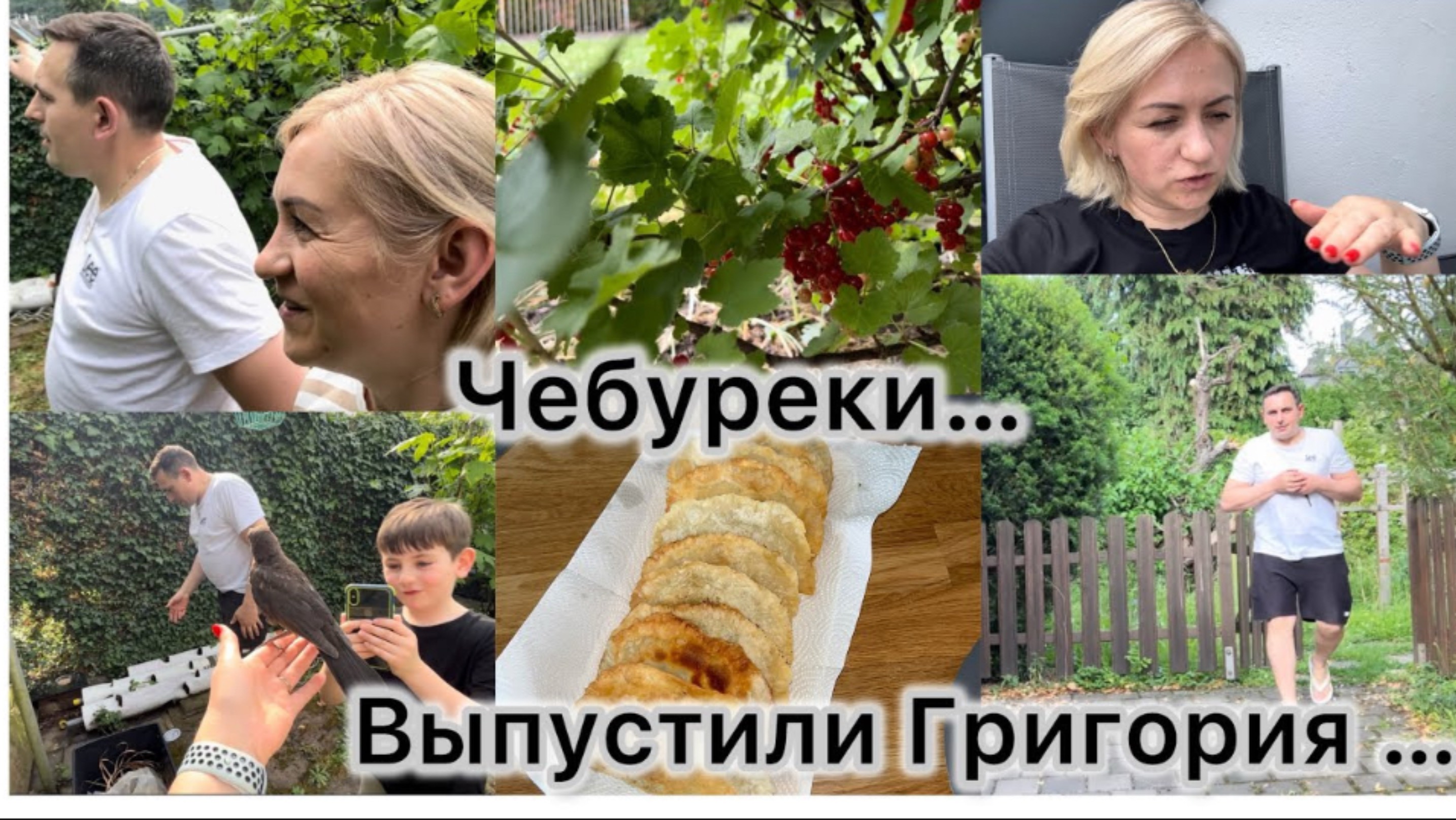 Готовлю два вида чебуреков 🌮 ПП и обычные ✔️ Выпустили Григория ✔️ как от повел себя 🐦⬛ смотреть онлайн