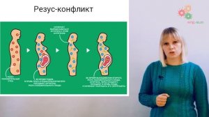 Физиология человека и животных. Группы крови (А. Зыбина)