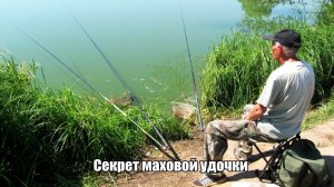 Маховая удочка