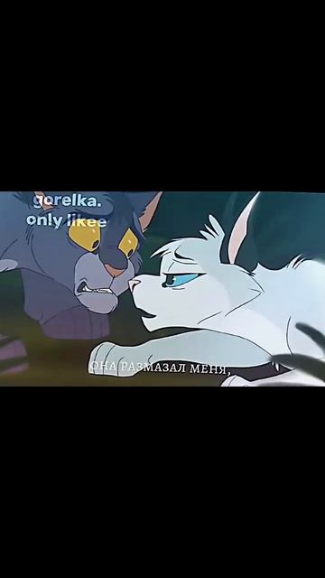 Грустно 😔🥀 | Коты воители | Крутобок и Серебрянка | Ви смотреть онлайн