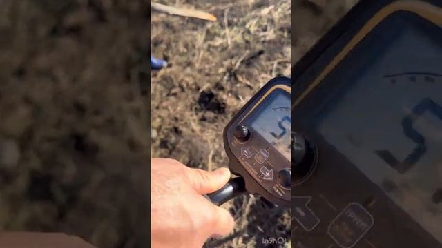 подарок мужу металоискатель TX850 арт 281798249 смотреть онлайн