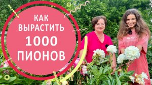 Пионы. Секреты выращивания и ухода от
Любови Аристарховой в Пионовом раю
