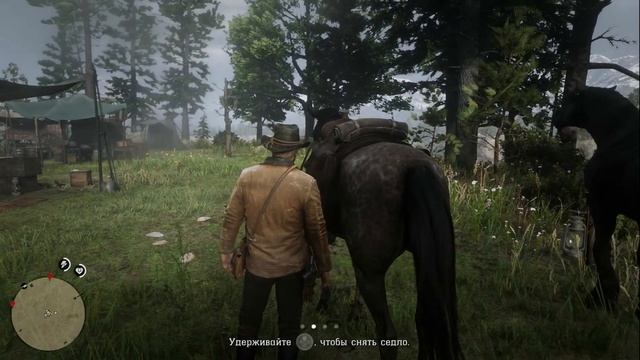 Прохождение Red Dead Redemption 2 на 100% и Платину: часть 8 смотреть онлайн
