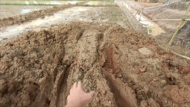 Какой ценой даётся настоящий Исанский рис смотреть онлайн