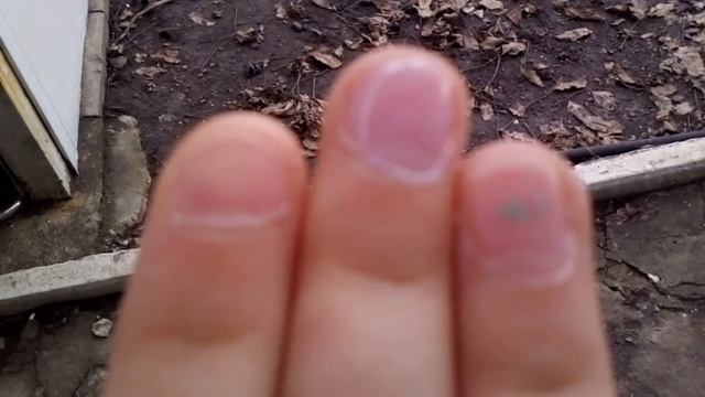 Мои лаки для ногтей :3 Го смотреть!?)