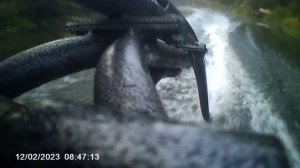 Мотор болотоход Лифан 7.0 с гибким вало, винт 8.