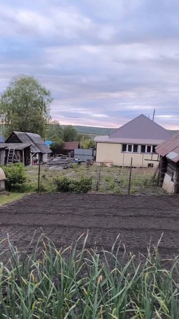 А какой у вас огород? #юмор #топ #прикол #shorts смотреть онлайн