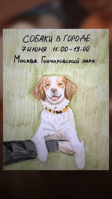 Главные участники фестиваля «Собаки в городе» глазами детей😍 смотреть онлайн