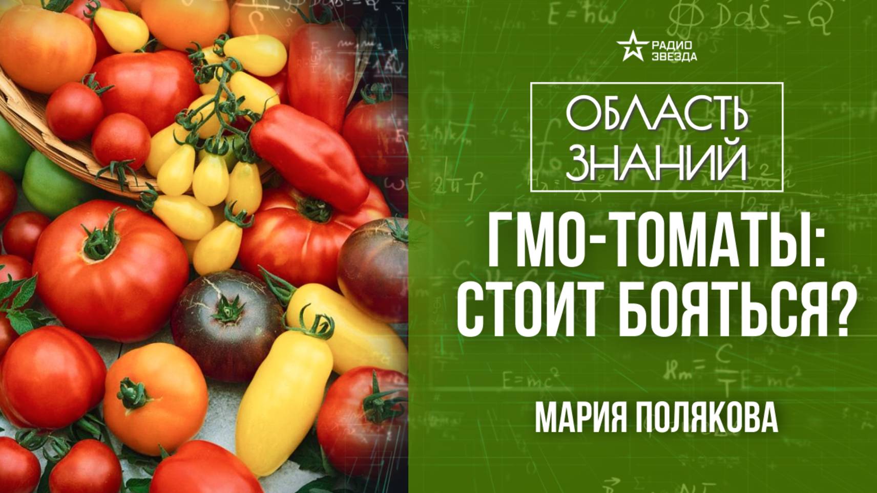 История томатов. Лекция агронома Марии Поляковой смотреть онлайн