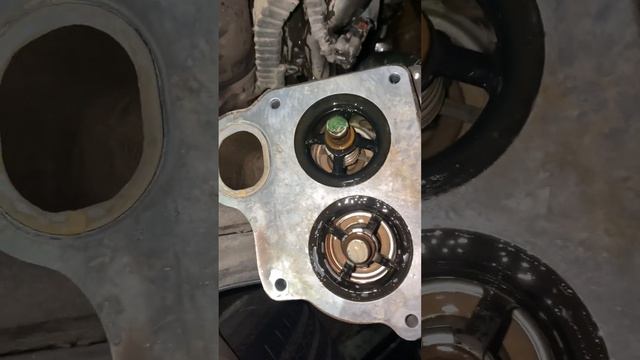 Замена термостата на DAF 106