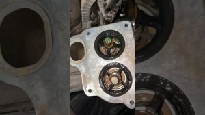 Замена термостата на DAF 106