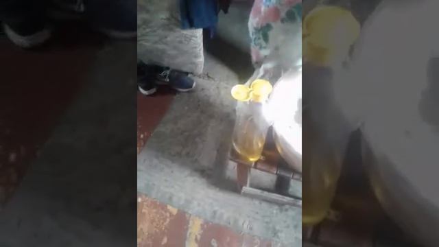 Первый раз купали Дымка под RNB чарт. смотреть онлайн