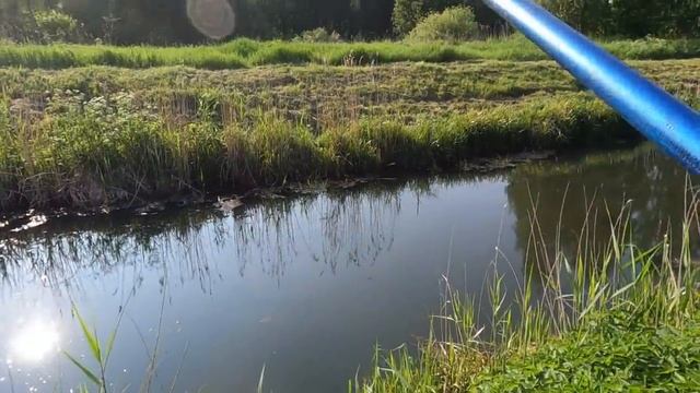 Летняя рыбалка на ЭКРАН: Как мы поймали ТРОФЕЙНУЮ ПЛОТВУ! (Разбор уловистой снасти) смотреть онлайн