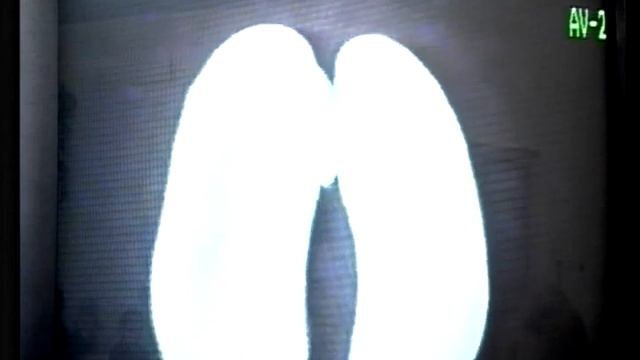 Окружающий_мир_3_класс_：_＂Как_растения_размножаются＂Алексеева_Е