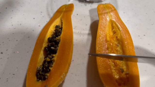 Папайя мини домашняя