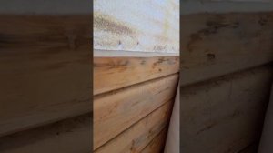 Утепление дома пенофолом спустя 5 лет что стало.