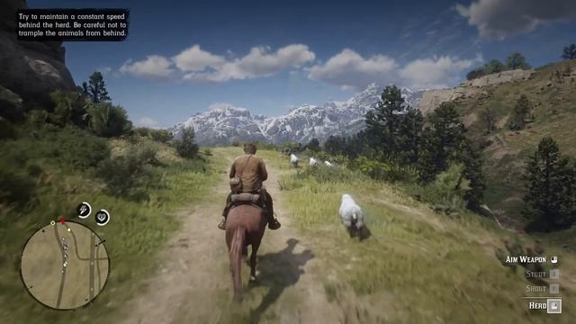 Red Dead Redemption 2 Овцы и козы
