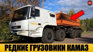 12 малоизвестных грузовиков КамАЗ, о которых мало кто знает.