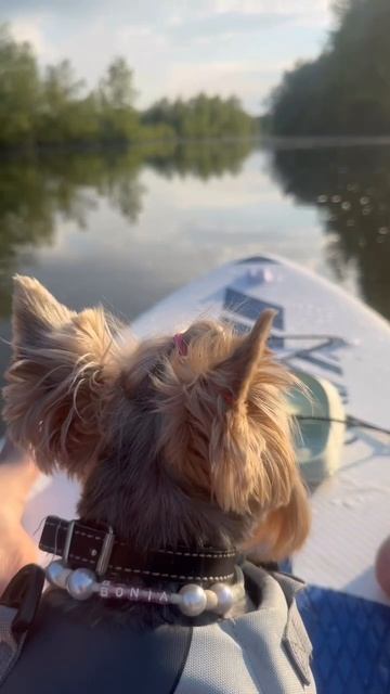 АДРЕСНИК ИЗ АКРИЛОВЫХ БУСИН С УКРАШЕНИЯМИ ДЕЛАЕТ МОЯ СЕСТРА ФЕТИНИЯ ОБРАЩАЙТЕСЬ смотреть онлайн