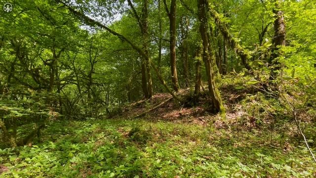 Марафон Природы 3 день. смотреть онлайн