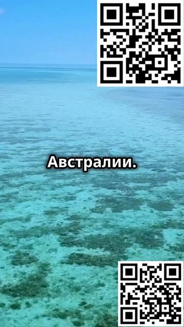 Удивительные места нашей планеты! #факты #наука #мисти смотреть онлайн