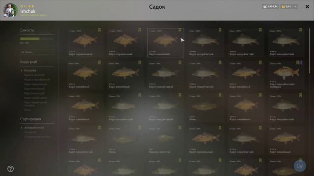 РР4. янтарка без ПВА. ШОК ФАРМ. смотреть онлайн