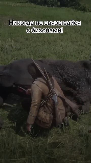RDR 2: Никогда не связывайся с бизонами! смотреть онлайн