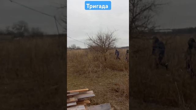 Демонтаж крыши Кукушка не подаеться #топ #рек #волгогр? смотреть онлайн