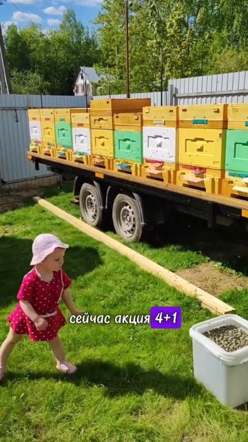 Как выгодно купить ульи #bienenhaus #пасека #ульи #выгода #пч смотреть онлайн