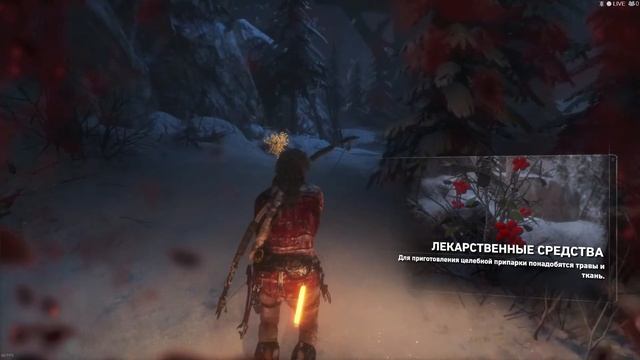 Rise of the Tomb Raider Сибирь часть 1