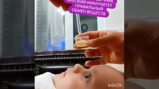 Новорождённые детки пьют сок алоэ смотреть онлайн