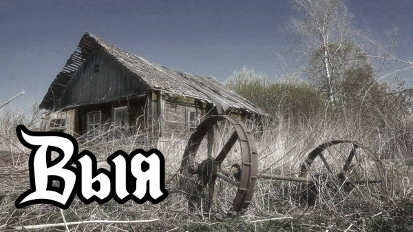 Заброшенные деревни Урала. Выя. DenStalk Денсталк