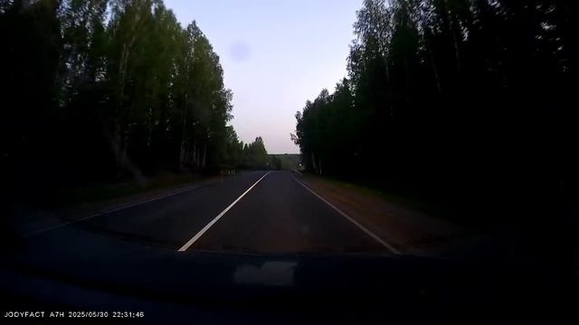 Лось на дороге из Перми в Осу (Пермский край) смотреть онлайн