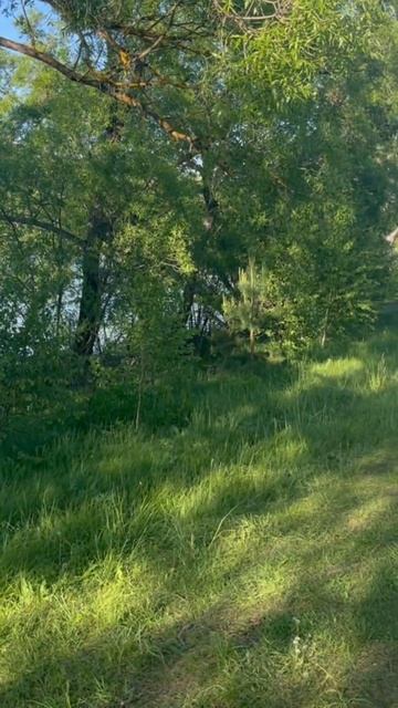 ЗАПОВЕДНЫЙ УГОЛОК